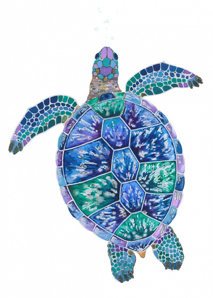 Turtle's Dreamscape