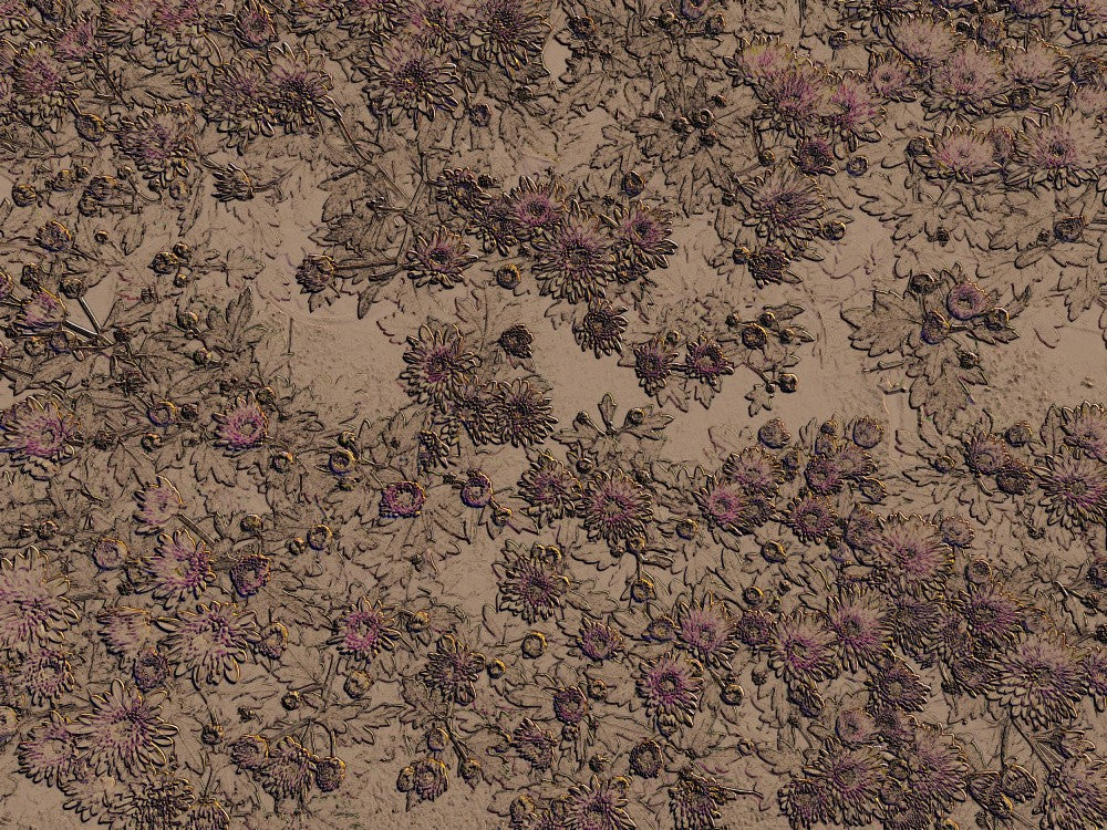Petal Symphony