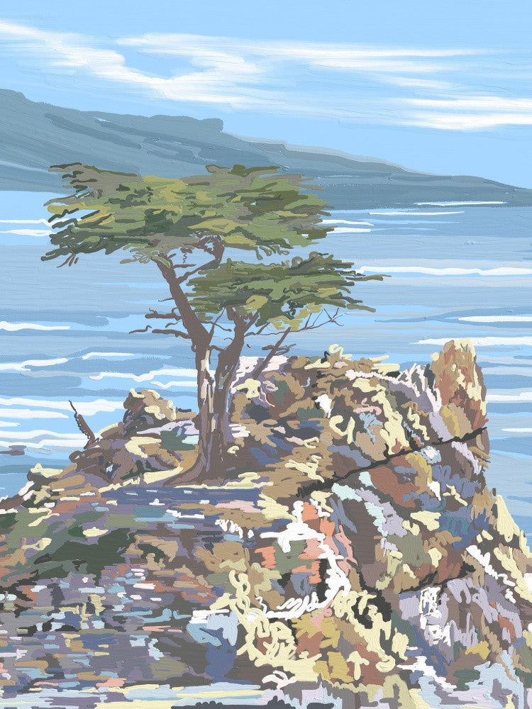 Stiller Wächter, 17 Mile Drive, California