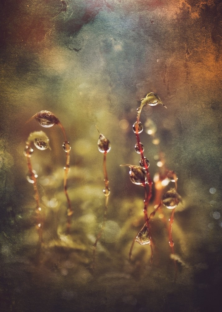 A breath of Autumn