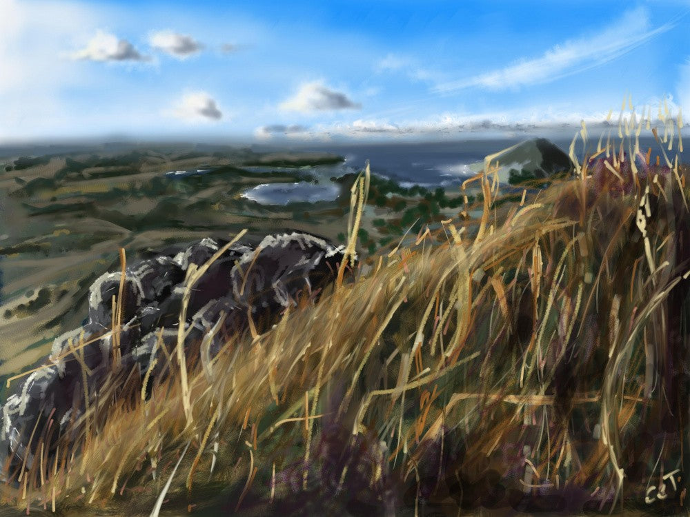 Diamond Hill