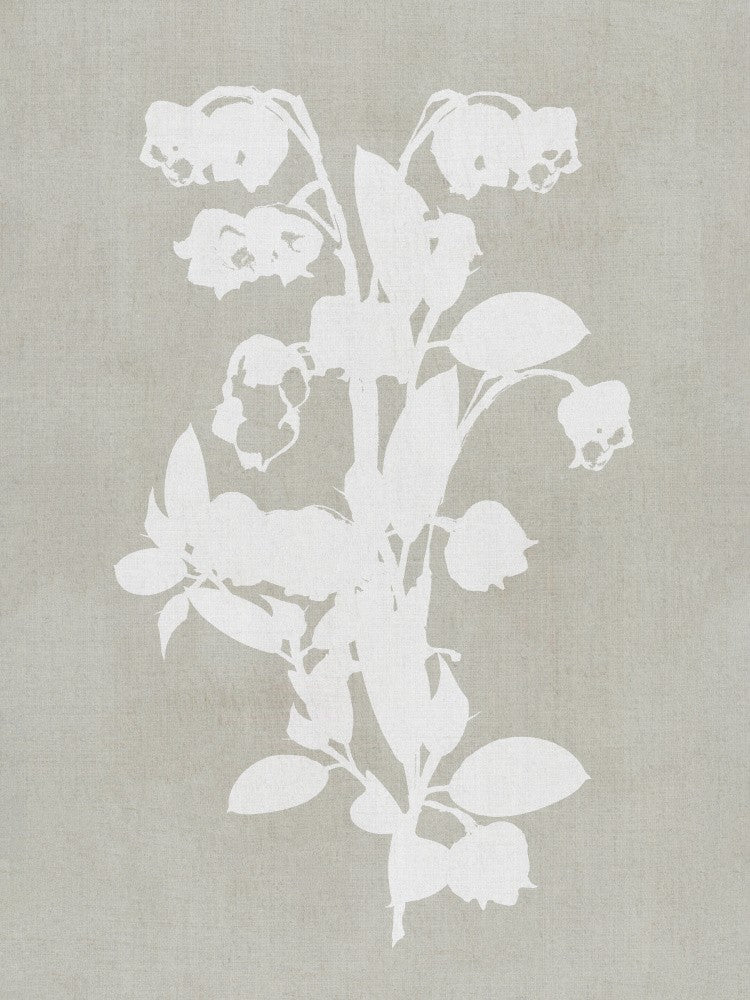 Botanical Illustration 4