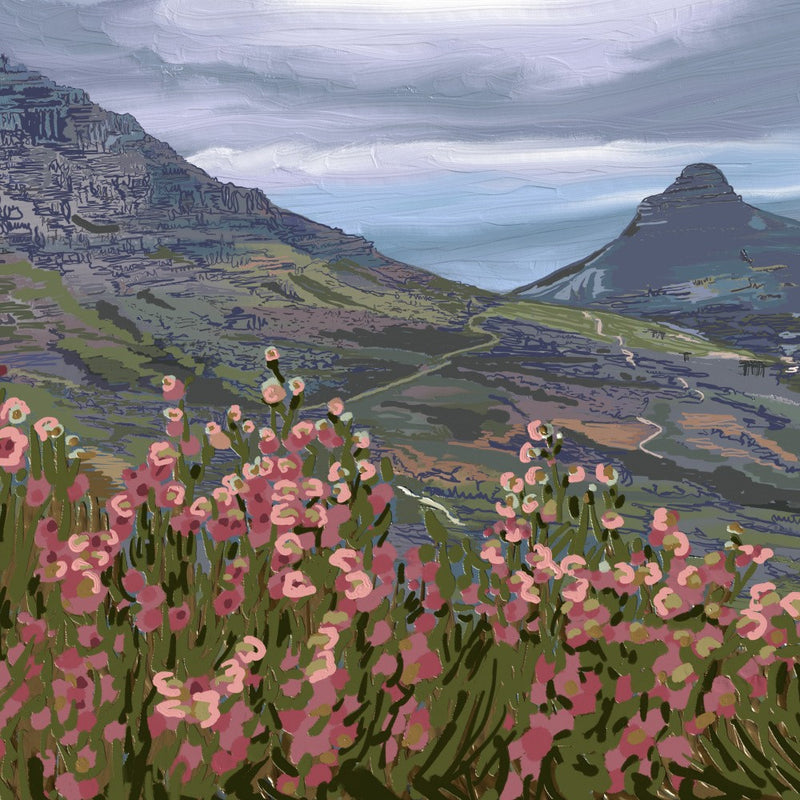 Petals and Peaks, Cape Town, South Africa, 2024
