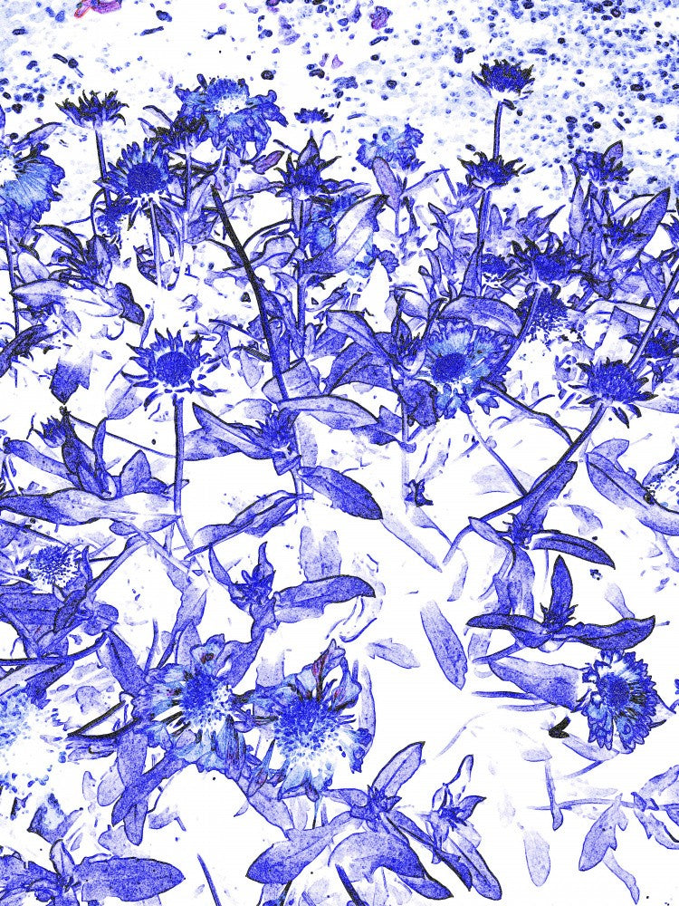 Violette Traumlandschaft
