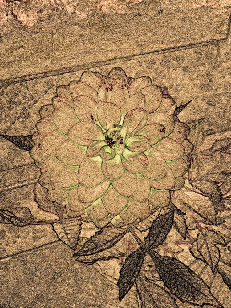 Golden Blossom Sketch