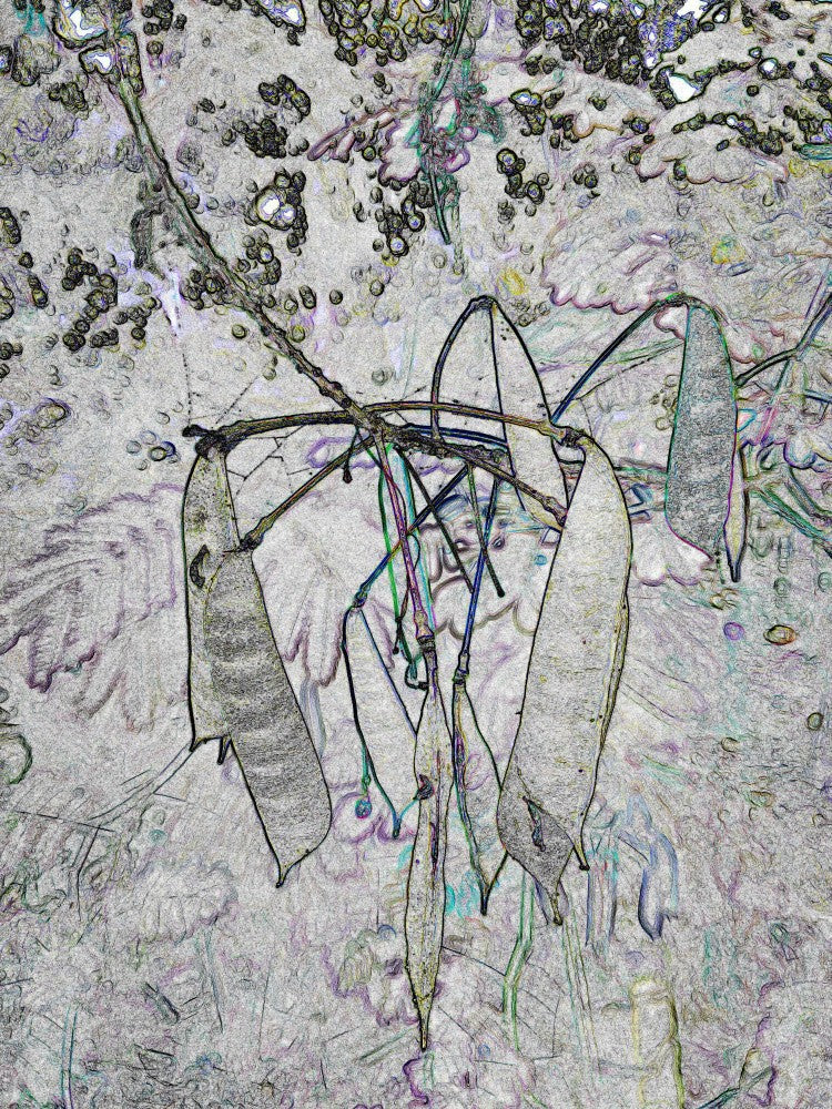 Whimsical Leaves