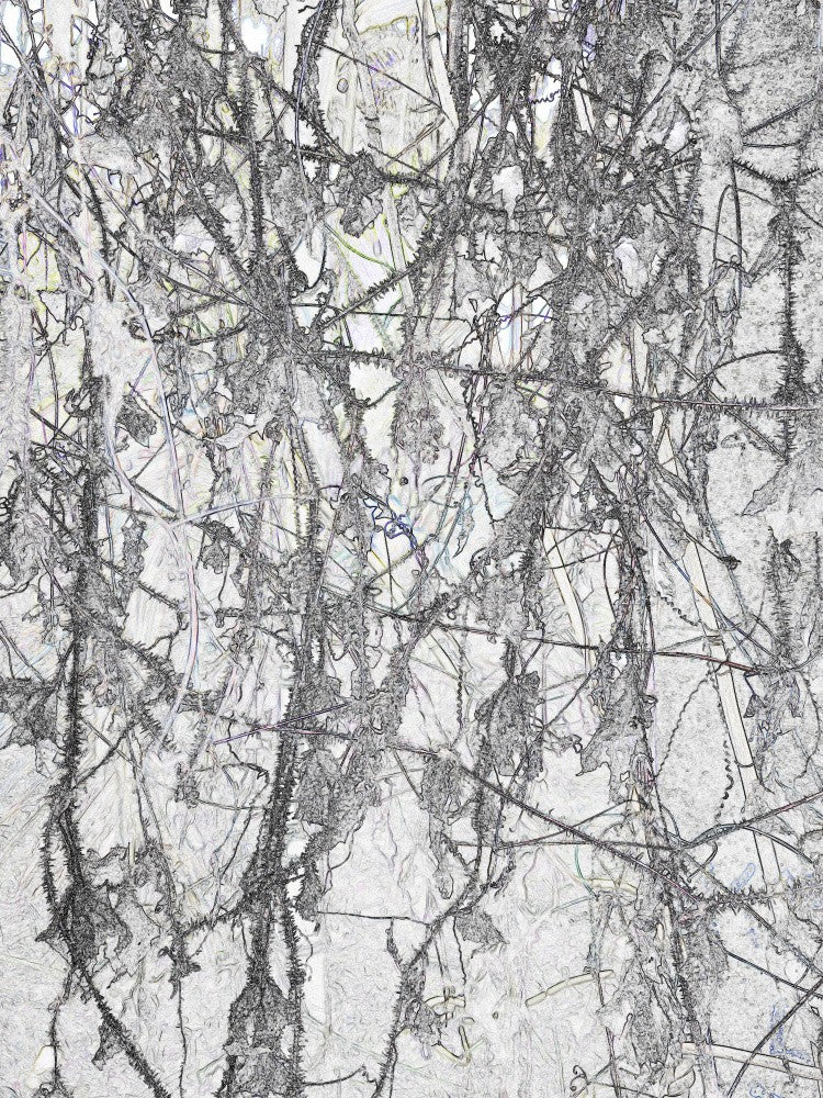 Mysterious Tangles