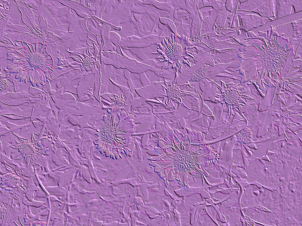 Lavender Blooms
