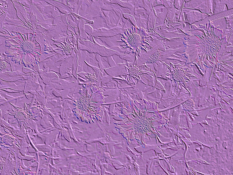Lavender Blooms