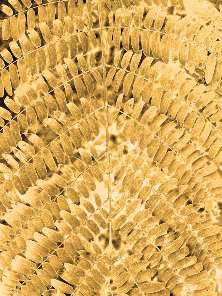 Golden Fern Pattern