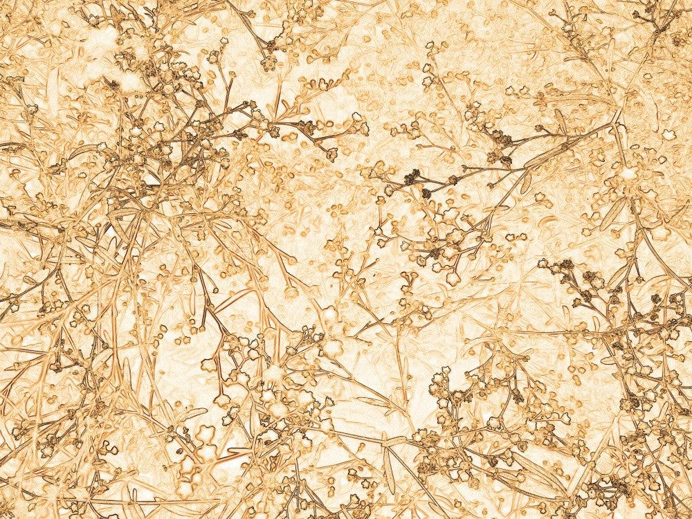 Golden Branches