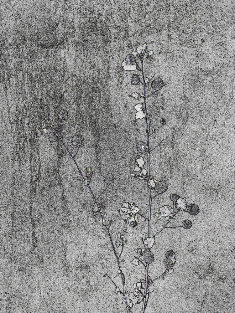 Delicate Decay