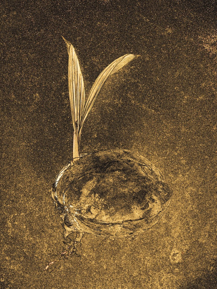 Golden Seedling Emergence