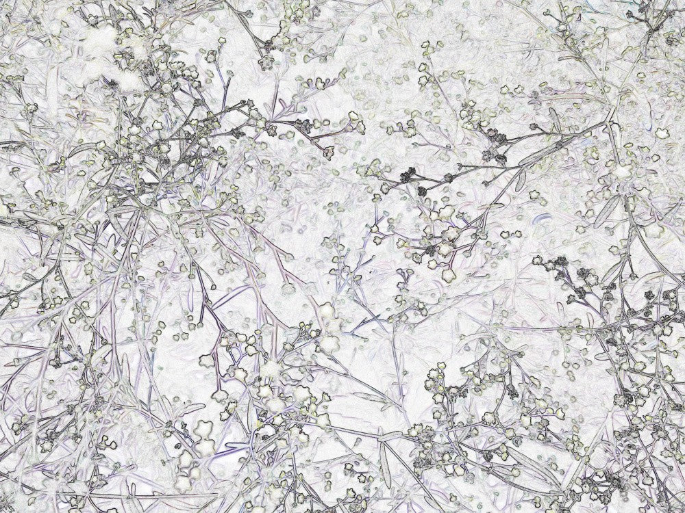 Winter Branches Dance