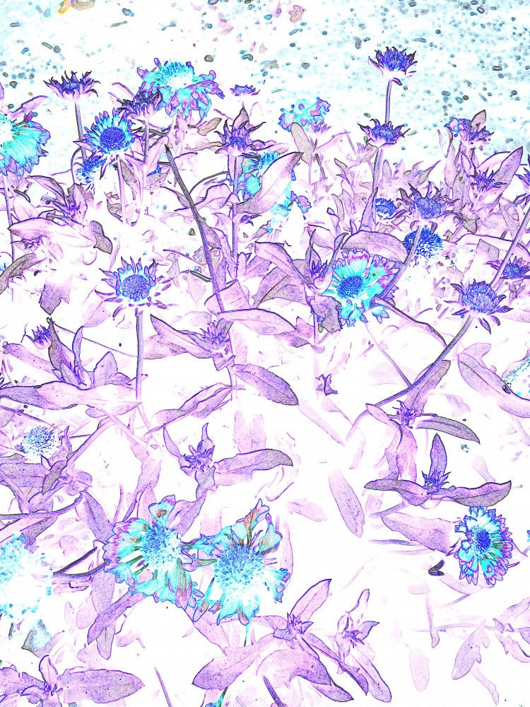 Neon Garden Bloom