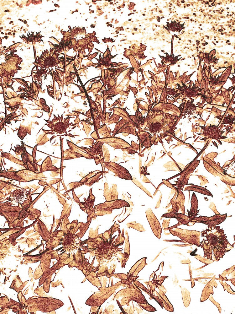 Fiery Blossoms