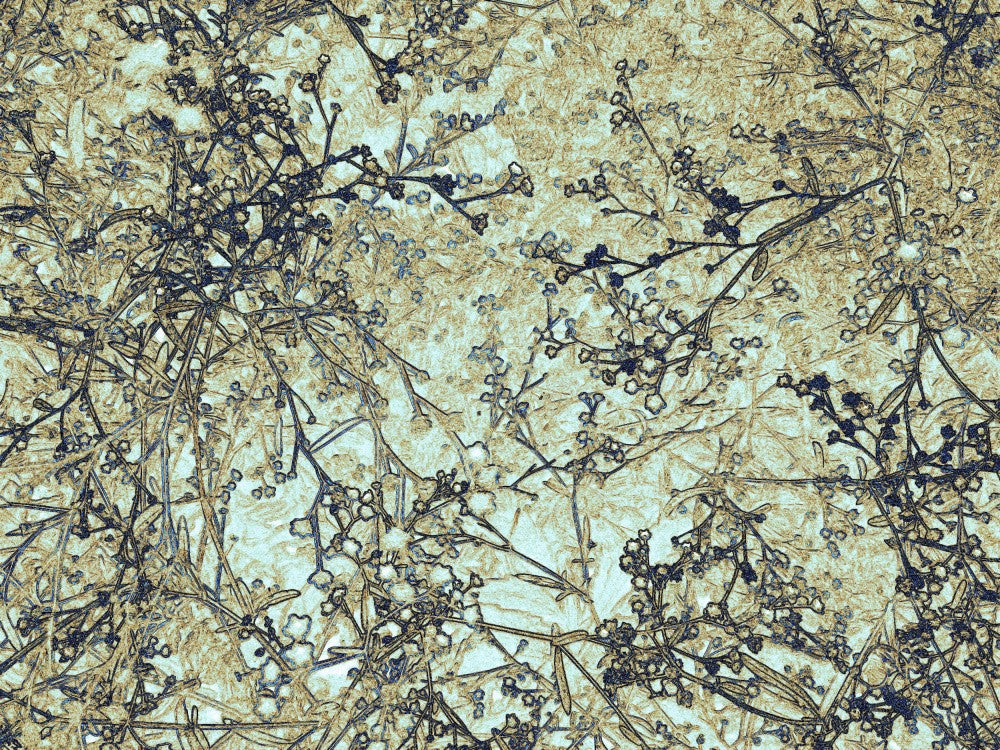 Fractal Branches
