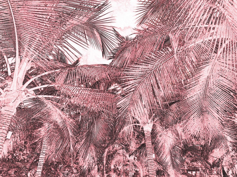 Tropical Canopy