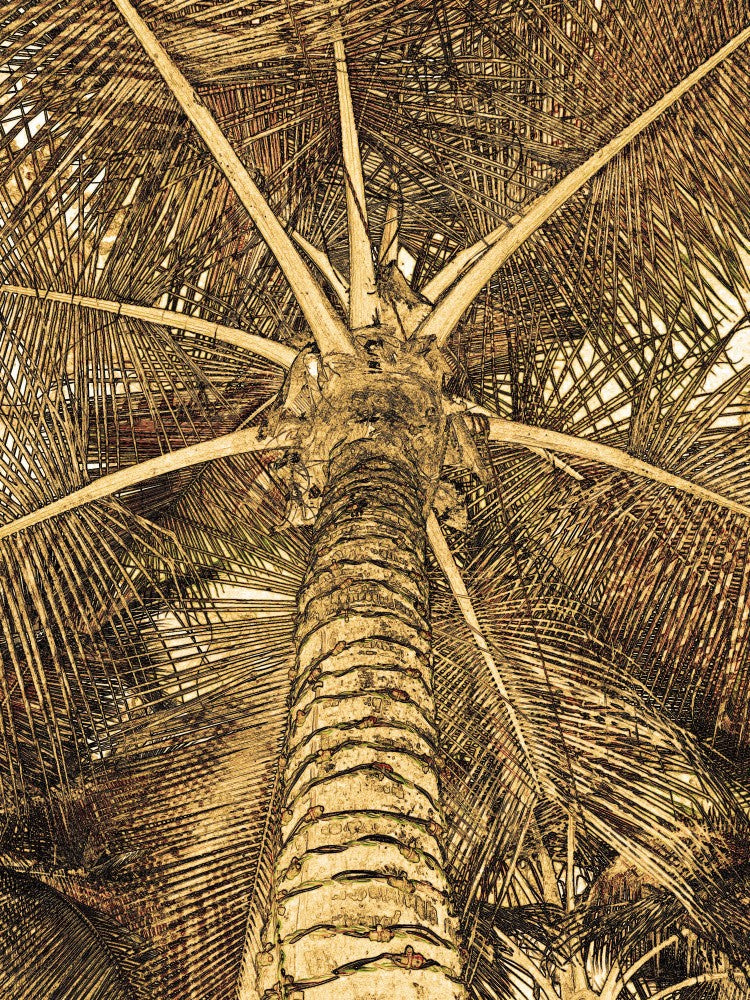 Golden Fronds