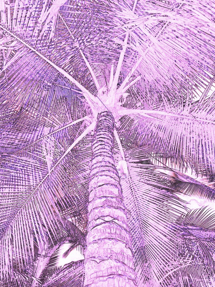 Violet Palm View