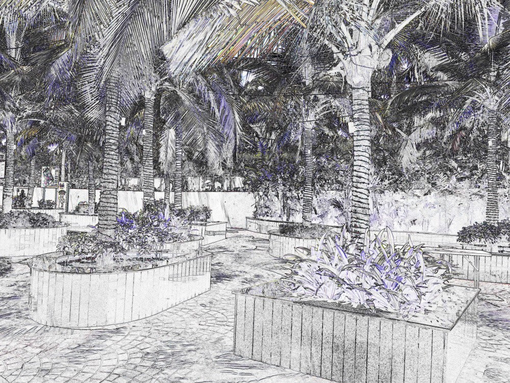 Tropical Sketch Garden