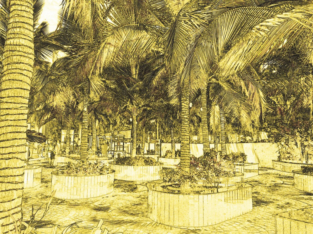 Golden Palm Haven