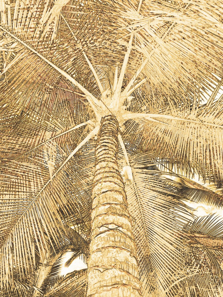 Golden Palm Canopy