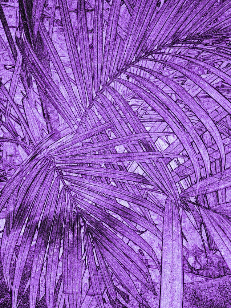 Purple Frond Maze