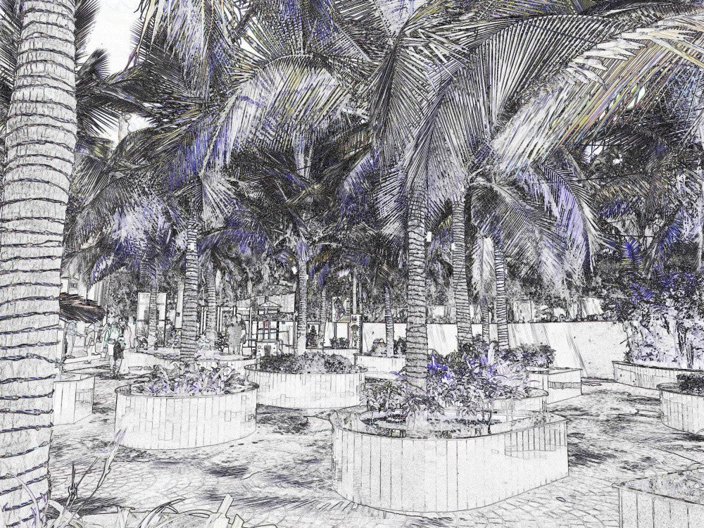 Palm Oasis Haven