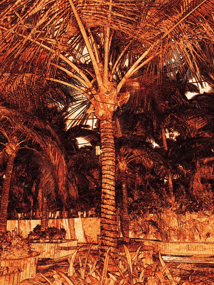 Fiery Palm Serenity