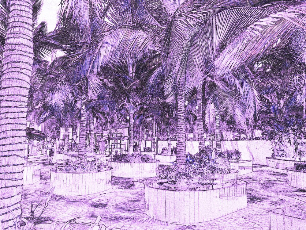 Tropical Oasis Glow