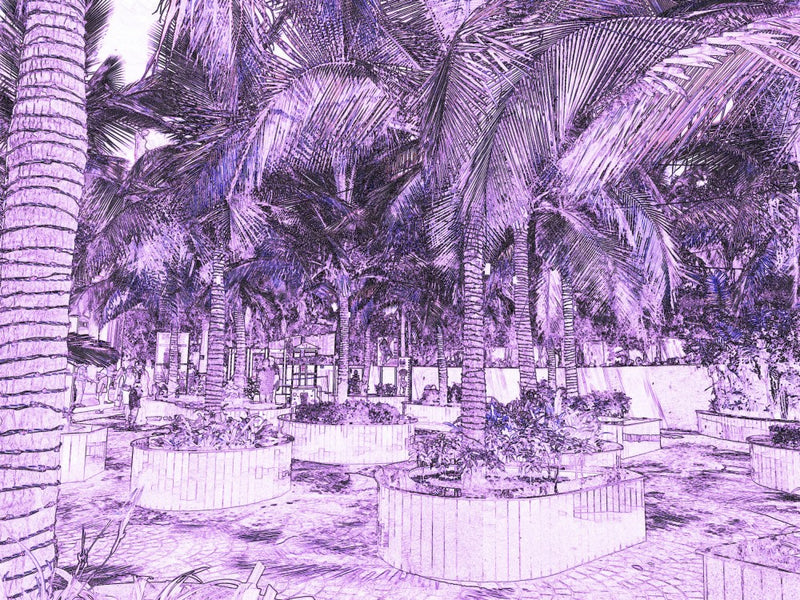 Tropical Oasis Glow
