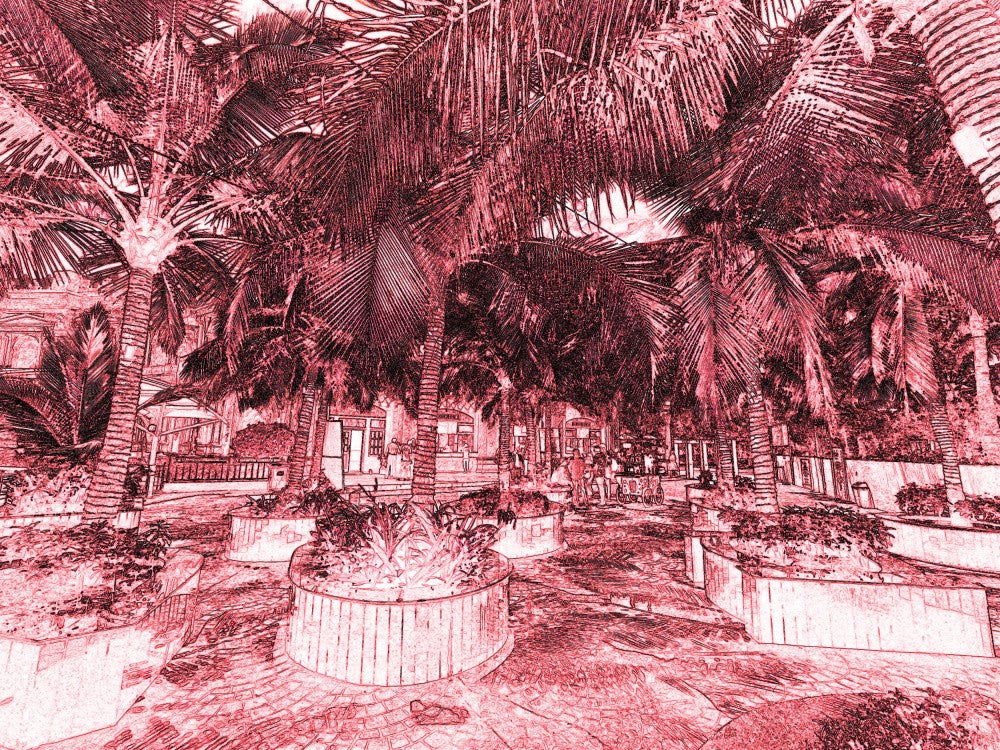 Tropical Haven