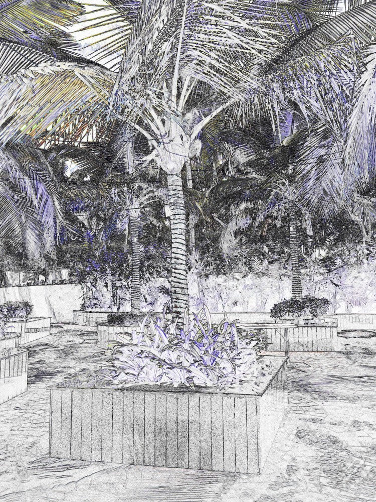 Tropical Sketch Garden