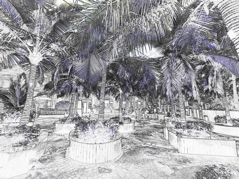 Tropical Haven