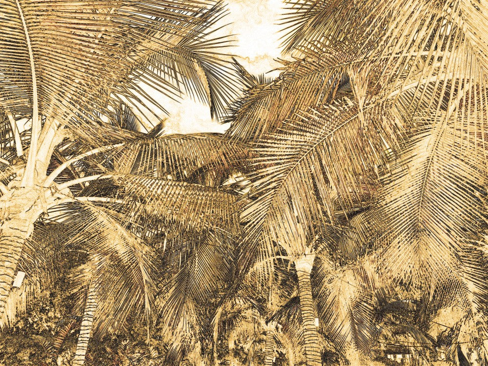 Golden Palm Canopy