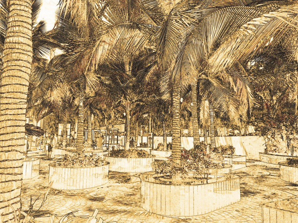 Tropical Oasis