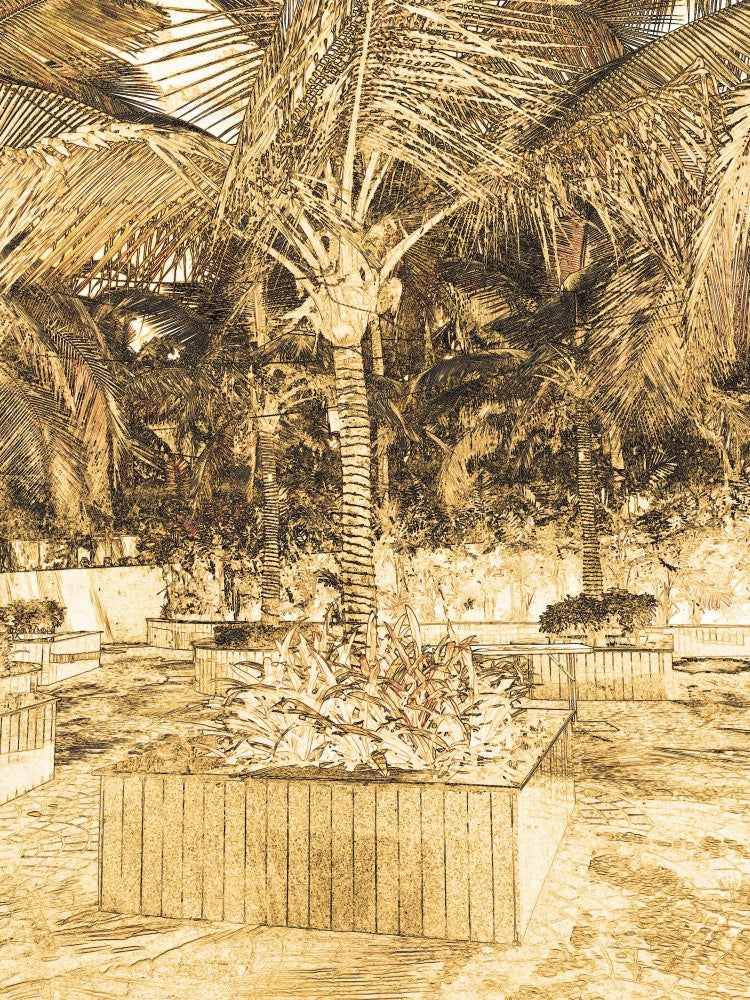 Whispering Palms