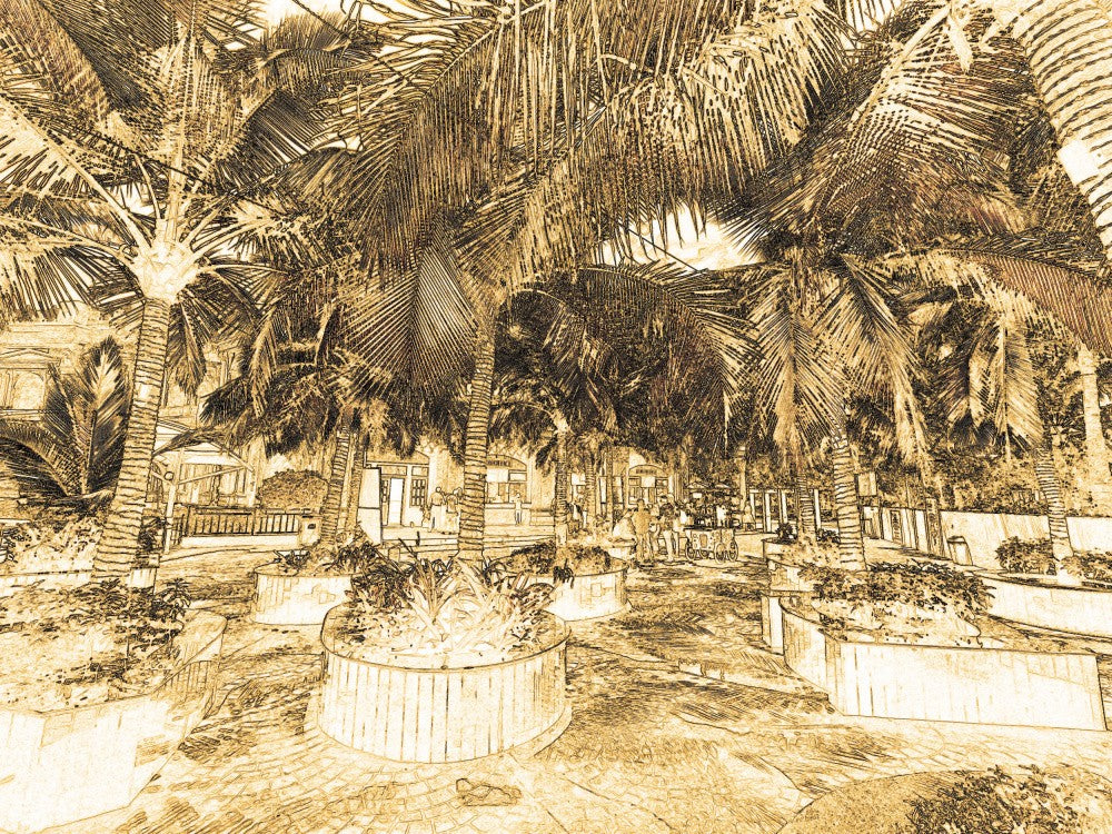 Tropical Sanctuary