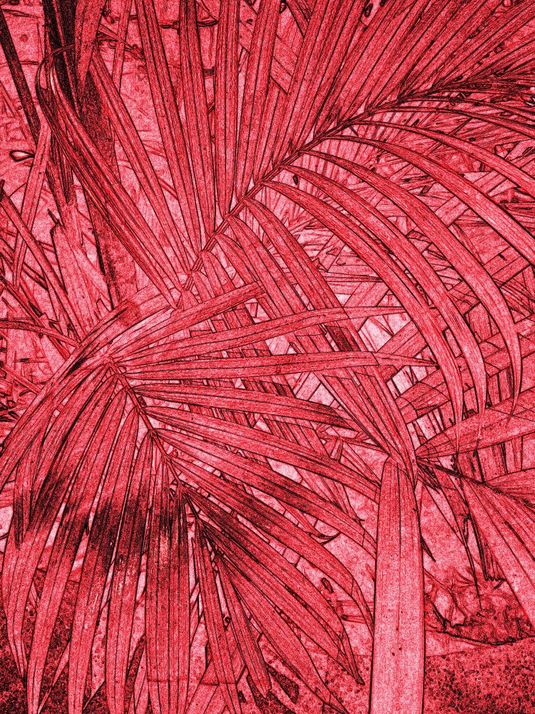 Crimson Fronds