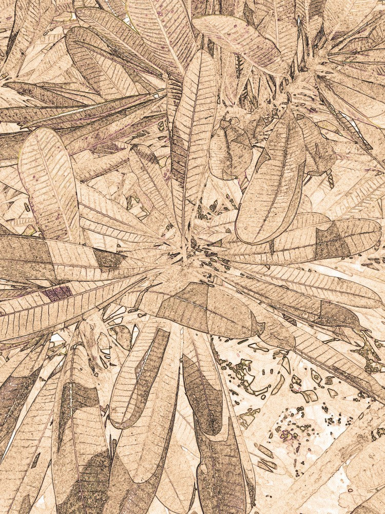 Leafy Whirlwind