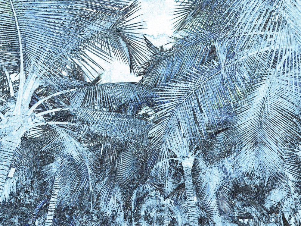 Tropical Chill