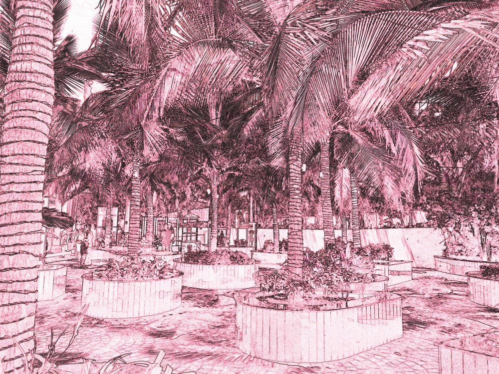 Tropical Oasis Scene