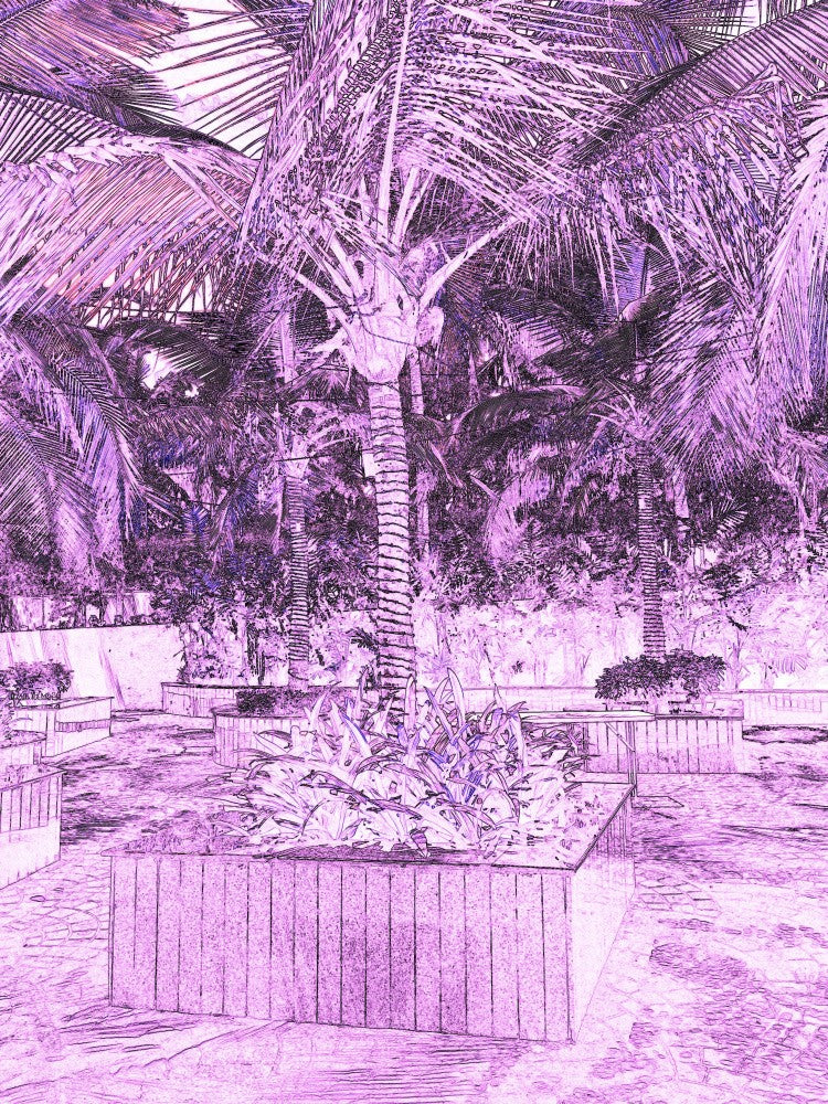 Tropical Enchantment