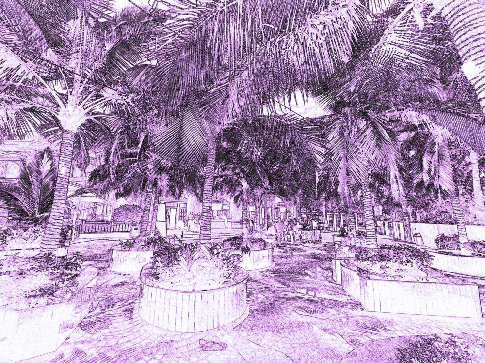 Purple Paradise