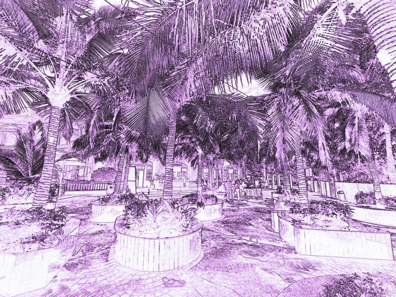 Purple Paradise