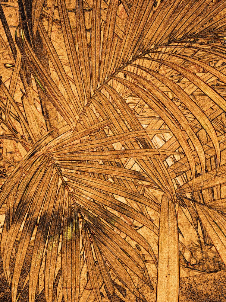 Golden Palm Maze