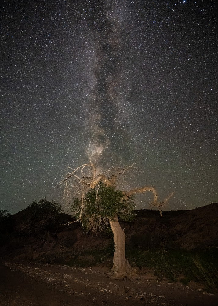 Between heaven and earth