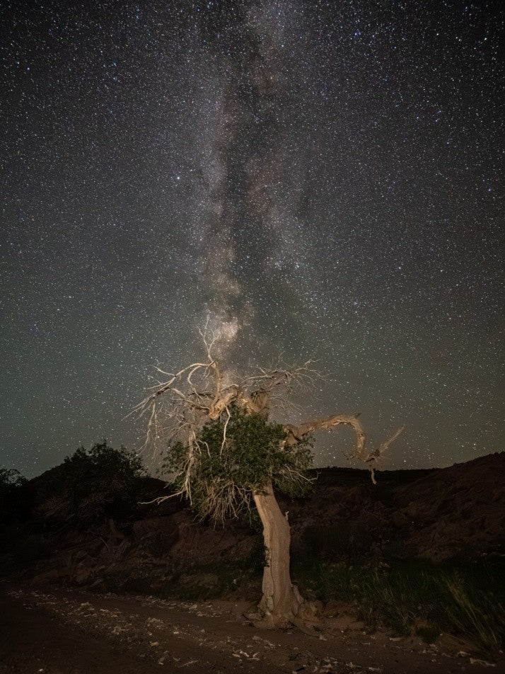 Between heaven and earth