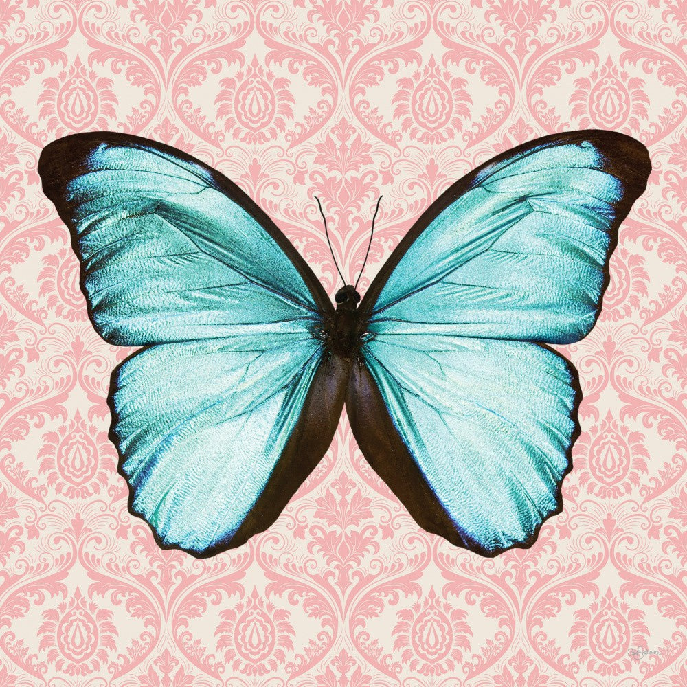 Pretty Butterfly #1